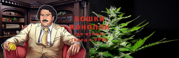 крисы Богородск